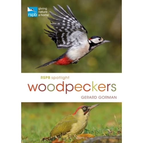 RSPB Spotlight Woodpeckers (häftad, eng)