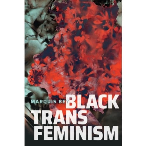 Black Trans Feminism (häftad, eng)