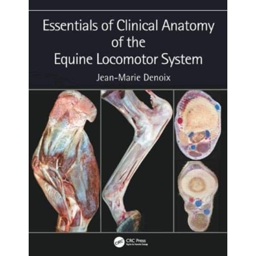 Essentials of Clinical Anatomy of the Equine Locomotor System (inbunden, eng)