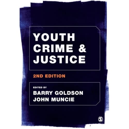 Youth Crime and Justice (häftad, eng)