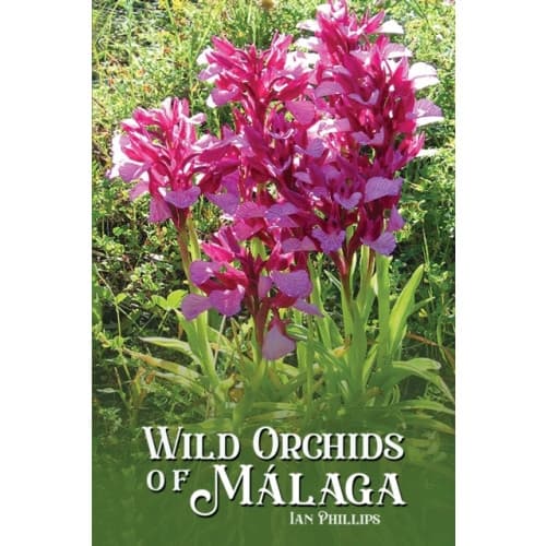 Wild Orchids of Malaga (häftad, eng)