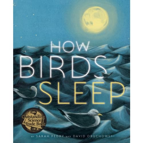How Birds Sleep (inbunden, eng)