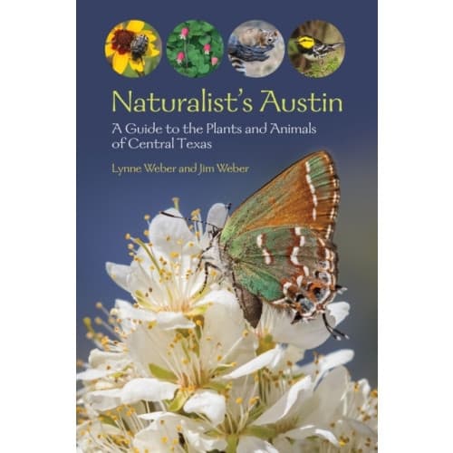 Naturalist's Austin (häftad, eng)