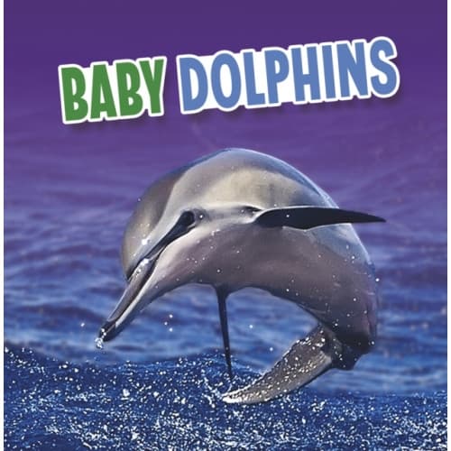 Baby Dolphins (inbunden, eng)