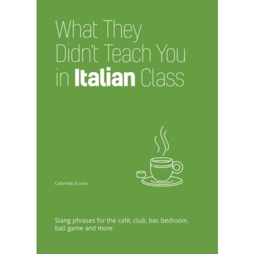 What They Didn't Teach You in Italian Class (häftad, eng)