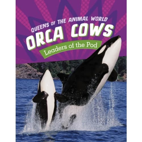 Orca Cows (inbunden, eng)