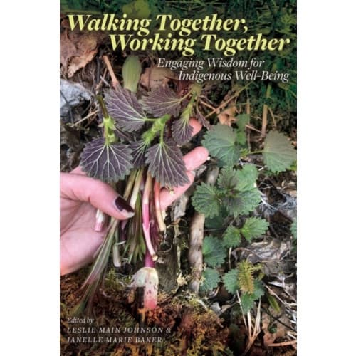 Walking Together, Working Together (häftad, eng)