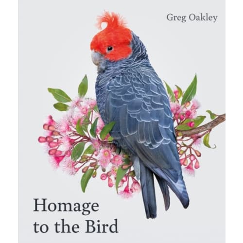 Homage to the Bird (inbunden, eng)