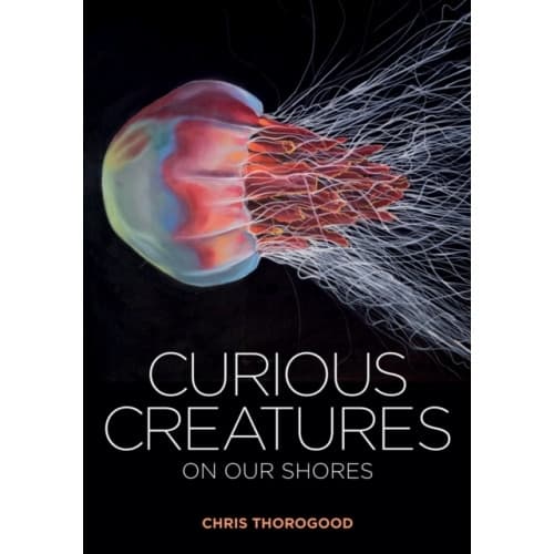 Curious Creatures on our Shores (inbunden, eng)