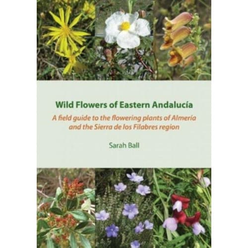Wild Flowers of Eastern Andalucia (häftad, eng)