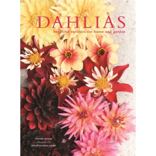 Dahlias (inbunden, eng)