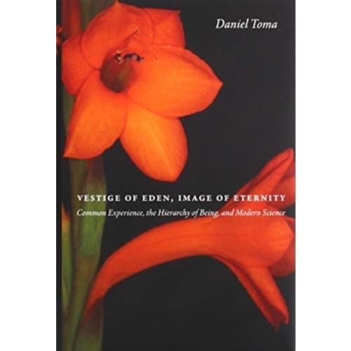 Vestige of Eden, Image of Eternity (inbunden, eng)