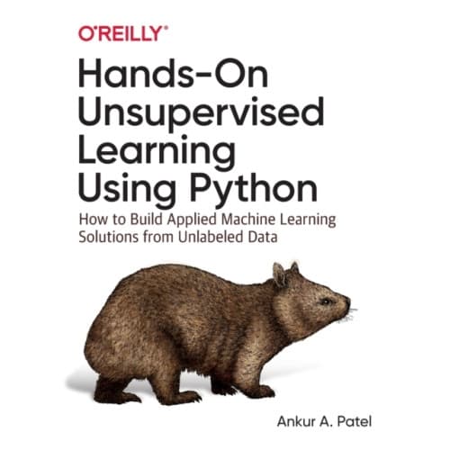 Hands-On Unsupervised Learning Using Python (häftad, eng)