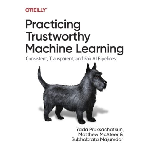 Practicing Trustworthy Machine Learning (häftad, eng)