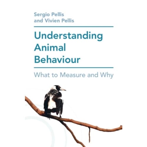 Understanding Animal Behaviour (häftad, eng)