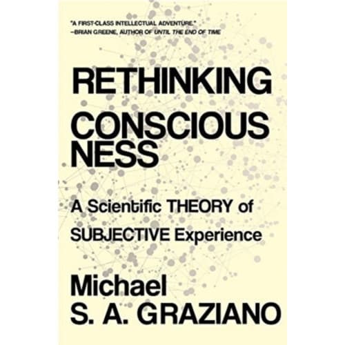 Rethinking Consciousness (häftad, eng)