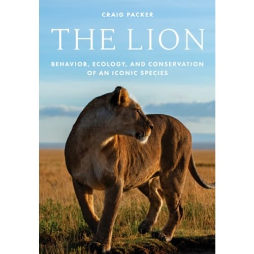 The Lion (inbunden, eng)