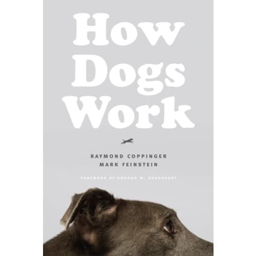 How Dogs Work (häftad, eng)