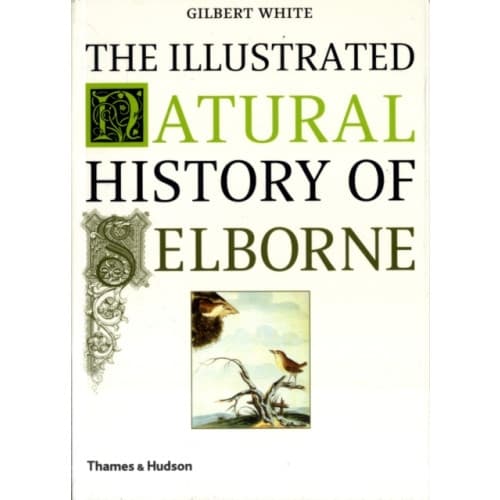 The Illustrated Natural History of Selborne (häftad, eng)