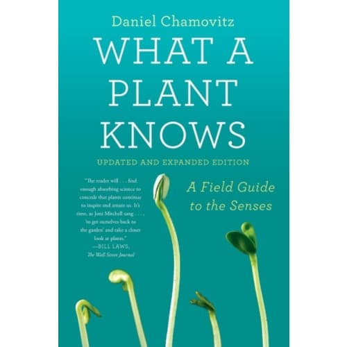 What a Plant Knows (häftad, eng)