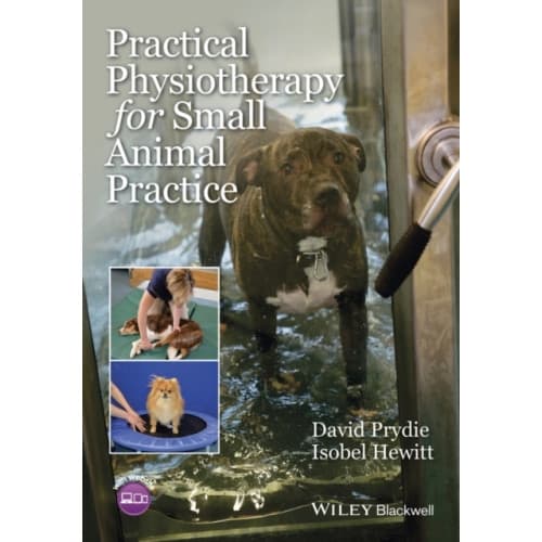 Practical Physiotherapy for Small Animal Practice (häftad, eng)