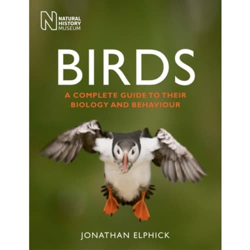 Birds (häftad, eng)