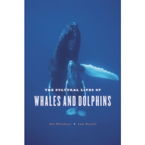 The Cultural Lives of Whales and Dolphins (häftad, eng)