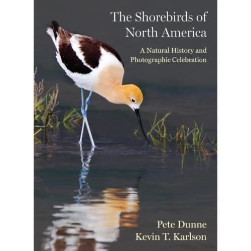 The Shorebirds of North America (inbunden, eng)