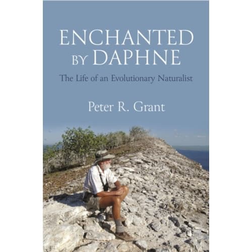 Enchanted by Daphne (inbunden, eng)
