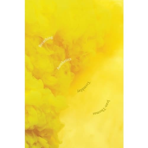 Breathing Aesthetics (häftad, eng)