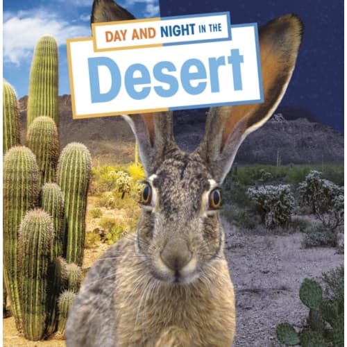 Day and Night in the Desert (inbunden, eng)