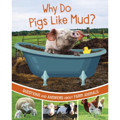 Why Do Pigs Like Mud? (inbunden, eng)