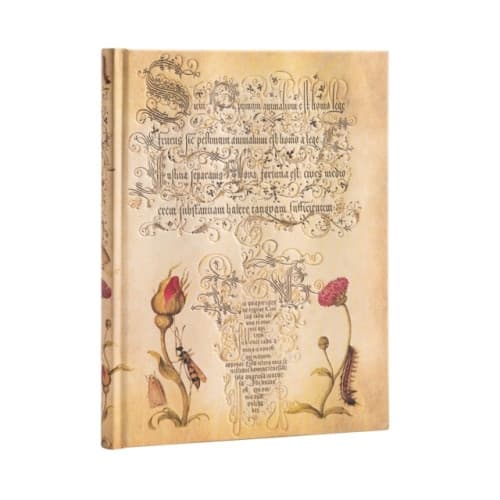 Flemish Rose (Mira Botanica) Ultra Lined Hardcover Journal (inbunden, eng)
