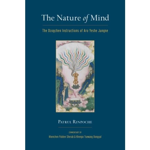 The Nature of Mind (häftad, eng)