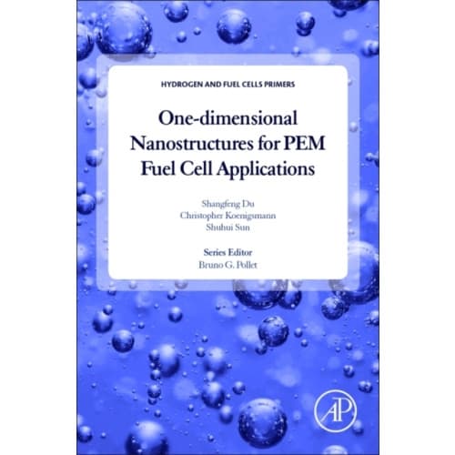 One-dimensional Nanostructures for PEM Fuel Cell Applications (häftad, eng)