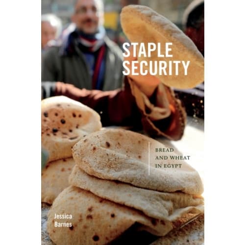 Staple Security (häftad, eng)