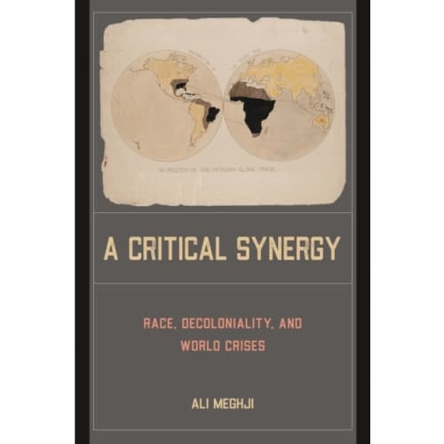 A Critical Synergy (häftad, eng)