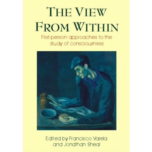 View from Within (häftad, eng)