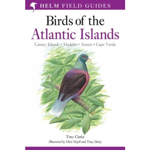 Field Guide to the Birds of the Atlantic Islands (häftad, eng)