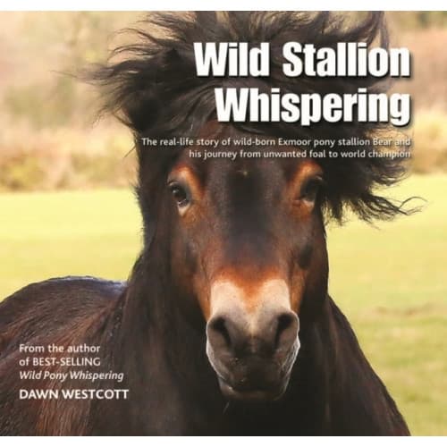 Wild Stallion Whispering (inbunden, eng)