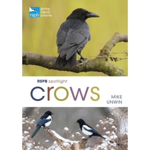 RSPB Spotlight Crows (häftad, eng)
