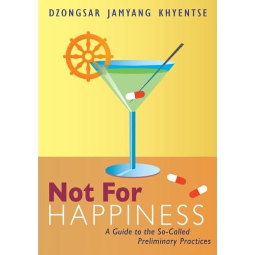 Not for Happiness (häftad, eng)