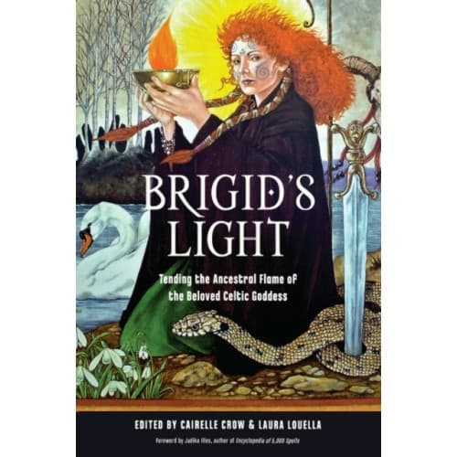 Brigid'S Light (häftad, eng)