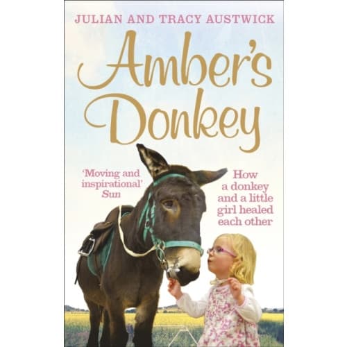 Amber's Donkey (häftad, eng)