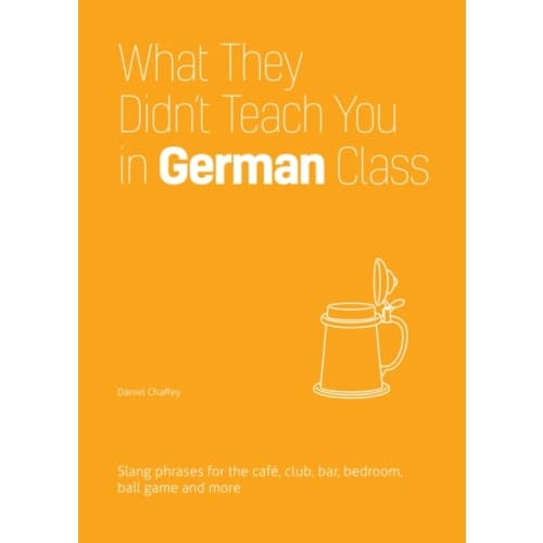 What They Didn't Teach You In German Class (häftad, eng)