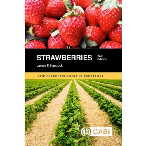 Strawberries (häftad, eng)