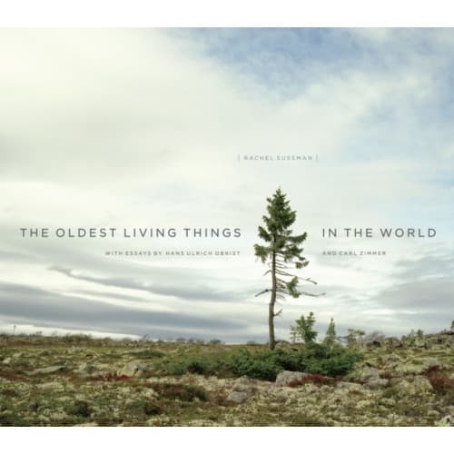 The Oldest Living Things in the World (inbunden, eng)
