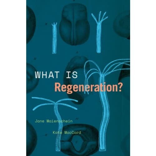 What Is Regeneration? (häftad, eng)