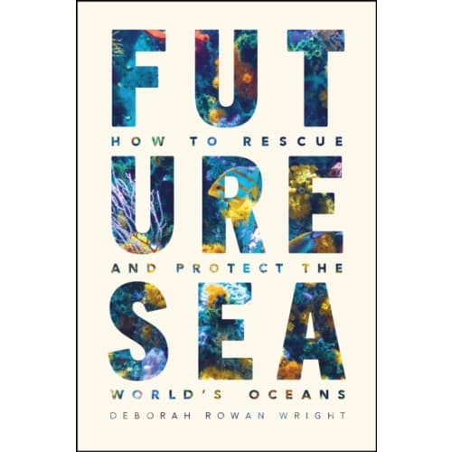 Future Sea (inbunden, eng)