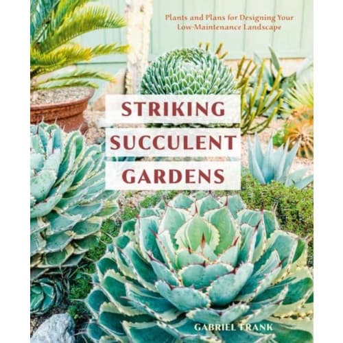 Striking Succulent Gardens (häftad, eng)
